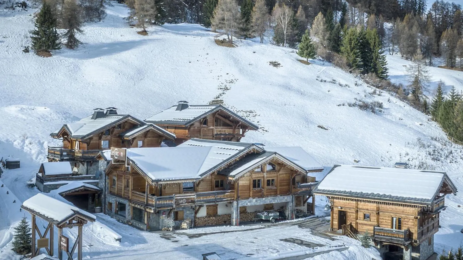 Chalet De Charme Avec Jacuzzi, Sauna Et Wifi, Proche Des Pistes - Fr-1-181-2797 La Plagne-Tarentaise 0*,  France